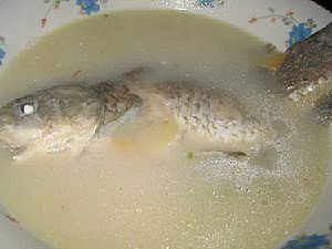 生姜鲫鱼汤